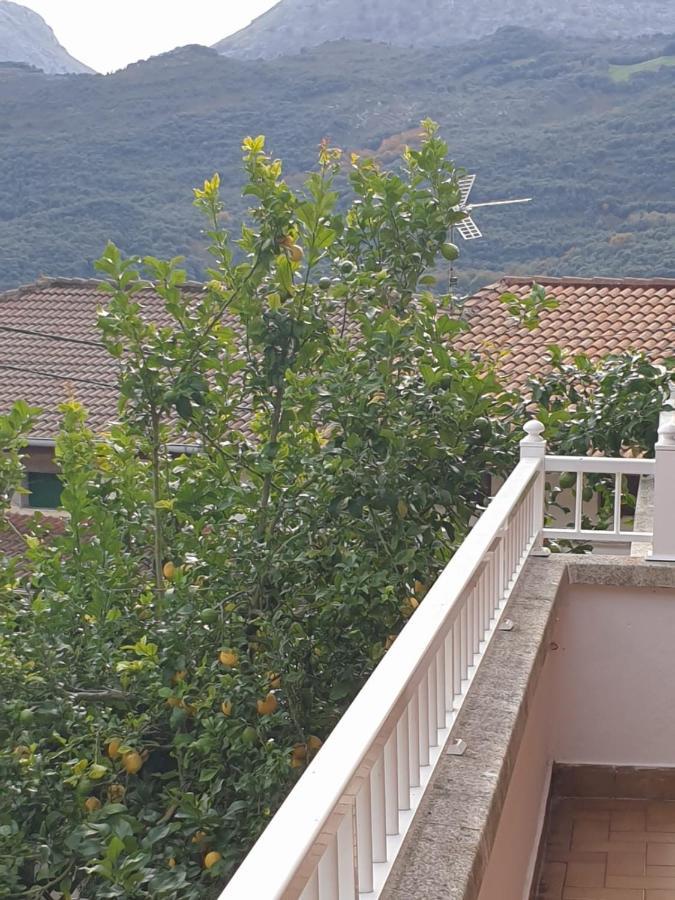 Casamentera Villa Mentera Barruelo Exteriör bild